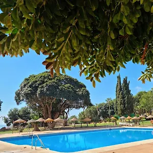 Lemon Tree Apartment